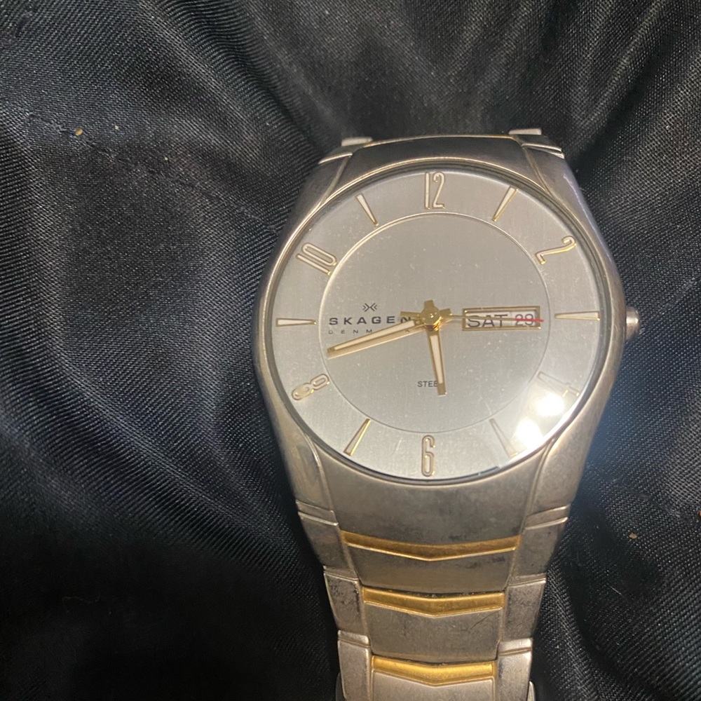 Skagen Gold and silver stainless steel Watch